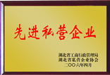 先进私营企业